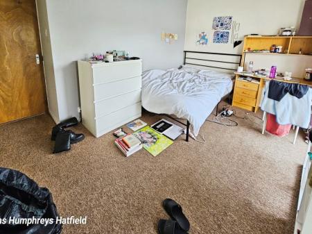 5 bedroom Property to let in Coney Close