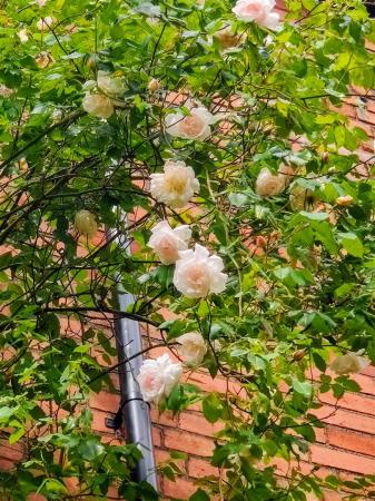 4 bedroom Detached house for sale in St. James Road, Leicester