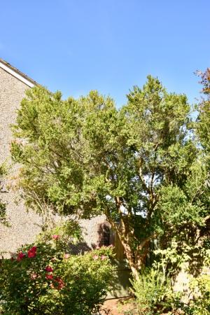 3 bedroom Terraced House for sale in Millcroft, Norwich, NR3
