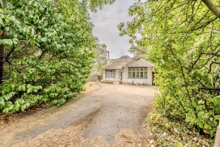 2 bedroom Detached bungalow to let in Woolsbridge Road, Ashley Heath