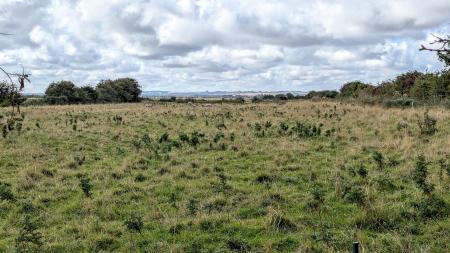 5 bedroom Detached house for sale in Wragholme Road, Grainthorpe, LN11