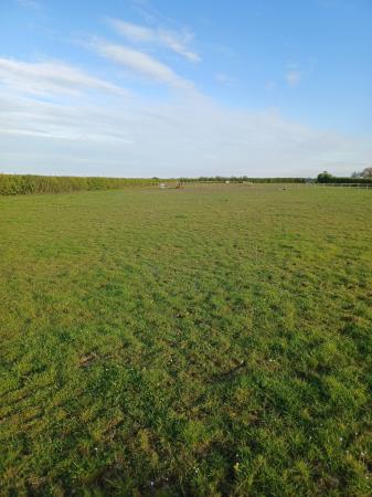 0 bedroom Land (Residential) for sale in King Street, Yarburgh, LN11