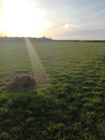 0 bedroom Land (Residential) for sale in King Street, Yarburgh, LN11