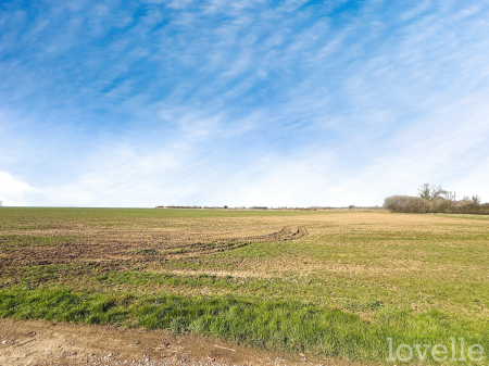 6 bedroom Detached house for sale in Wood Farm Cottages, Lincoln, LN1