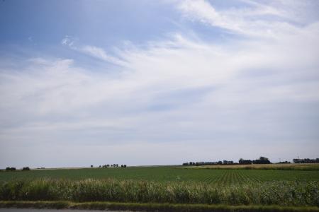 3 bedroom Detached house for sale in Main Road, Friskney, PE22