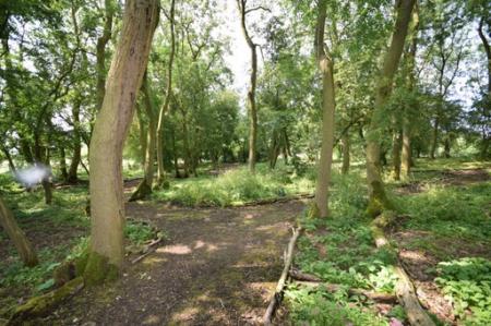 2 bedroom Park home for sale in Kelsey Woods Country Park, Monksthorpe, PE23