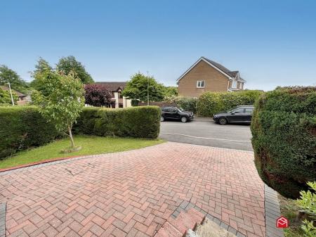 Front Garden & Driveway