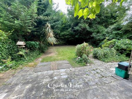 Garden 4.jpg