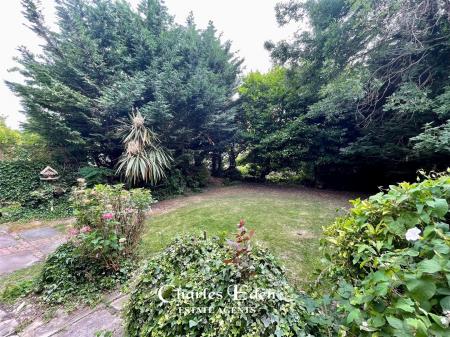 Garden.jpg
