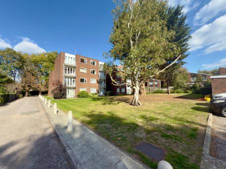 view from rear.jpg