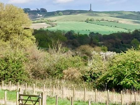 White Horse & Monument