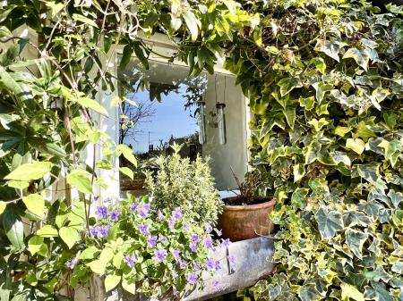 Kitchen Window