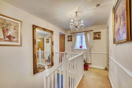 55 Springfield-13.jpg