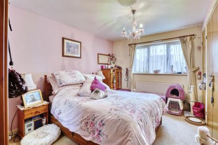 55 Springfield-17.jpg