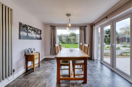 Holly RdD78_7935_HDR.jpg