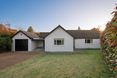 3-25 Tweskard Park.jpg