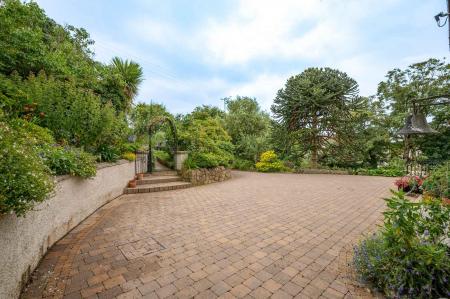 Driveway