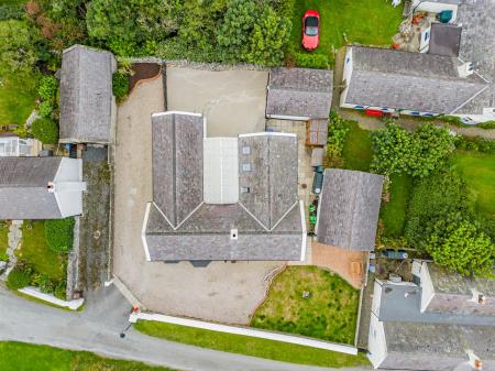 DJI_0905.jpg