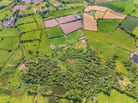 DJI_0728.jpg