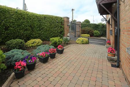 Driveway