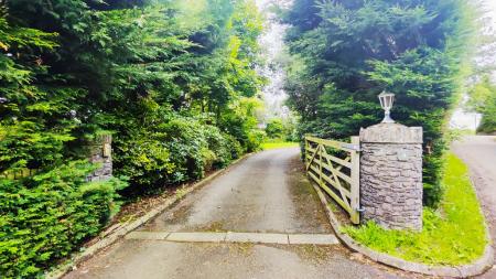 2023-07-26_11-29-02_