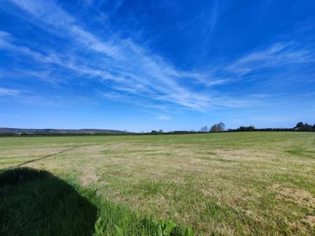 IMG_20250515_100011