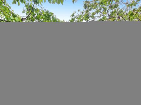 b72aac15-IMG_2025060