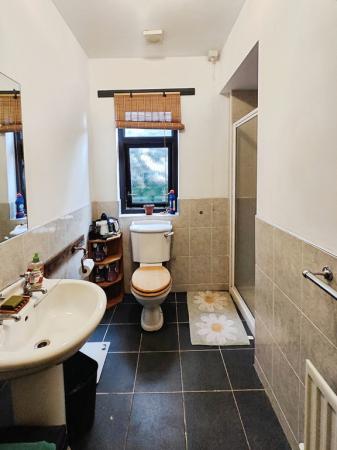 456dcd43-IMG_2025110