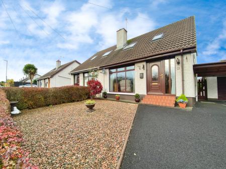 65237654-IMG_0885.jp