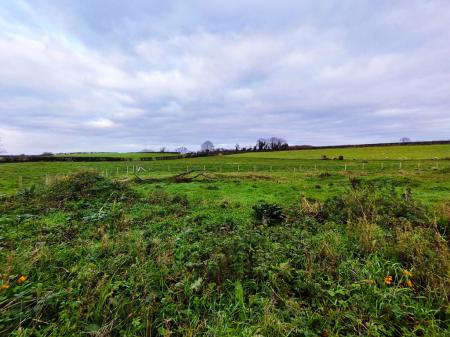 2025-11-21_09-02-18_