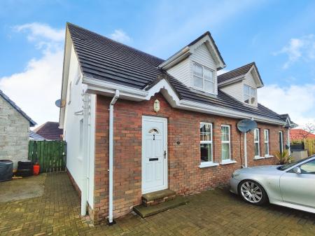 cfa810c6-IMG_2025120