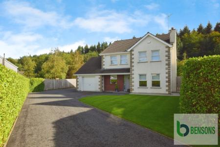 46f55f81-DSC_0733.JP