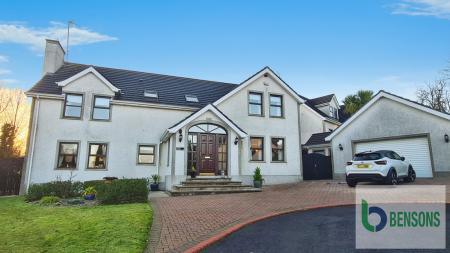 1f5224e8-20251212_15