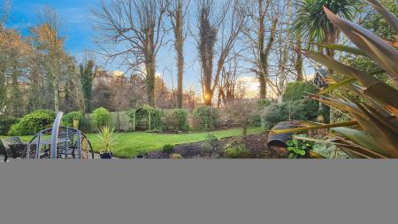 ce97e46f-20251212_15