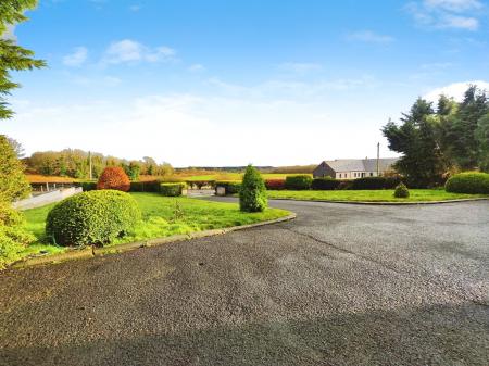 9b0056ae-IMG_2026011