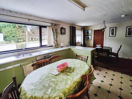 69d22c21-IMG_2026011