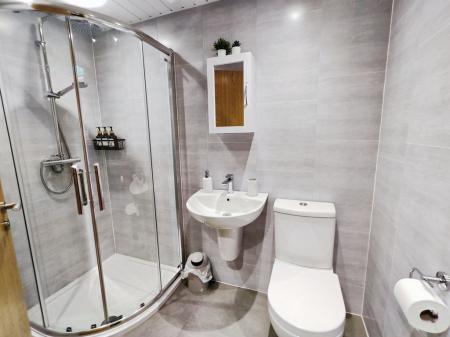 80ed38c4-IMG_2025011