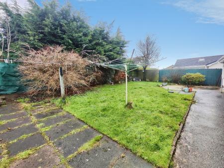 454d400a-IMG_2026012