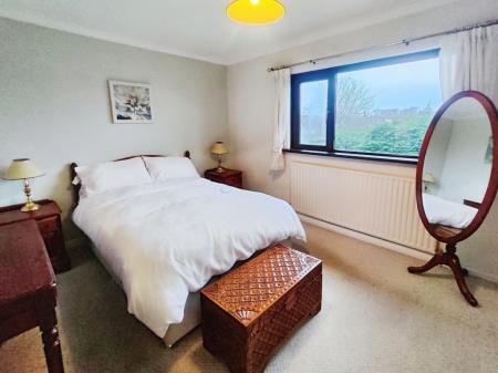 76d8dcd8-IMG_2026020