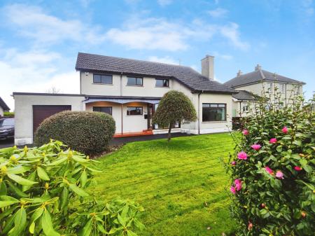 bf78dec5-IMG_2026020