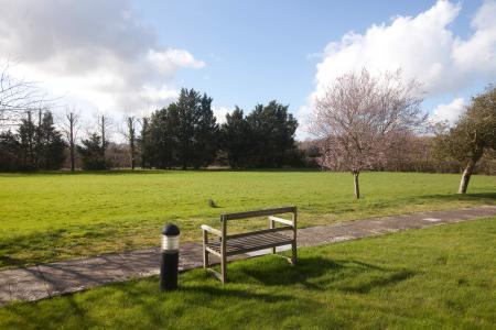 Communal Grounds