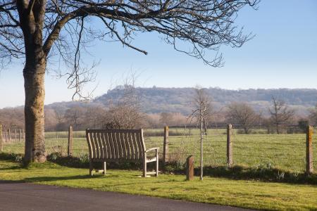 Communal Grounds