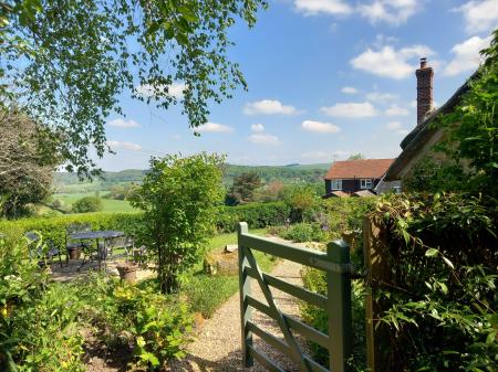 Garden & View
