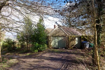 Driveway & Garage