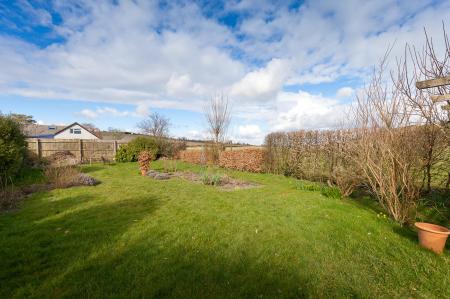 Garden (1)