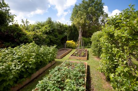 Garden (3)
