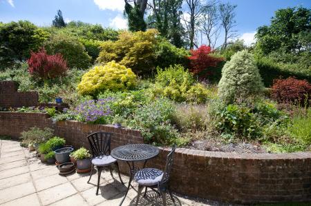 Garden (3)