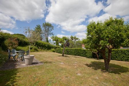 Garden (1)