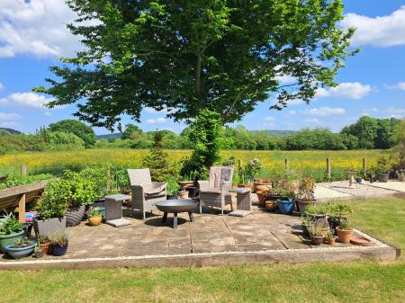 Garden with a View