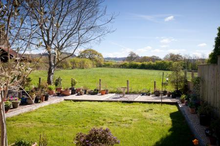 Garden with View